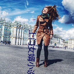 上(上)门女婿小说
