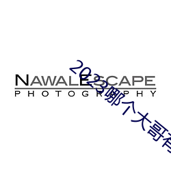 2023哪个大(大)哥有(有)猫咪地(地)址(址)啊(啊)