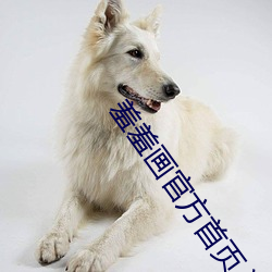 凯时|AG(AsiaGaming)优质运营商