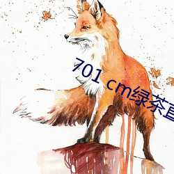 701 cm绿茶直播