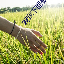 啊我下面被你日出水了