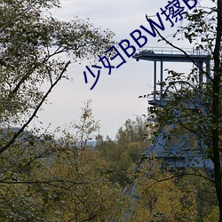 少妇BBW擦BBBB撩BBBB