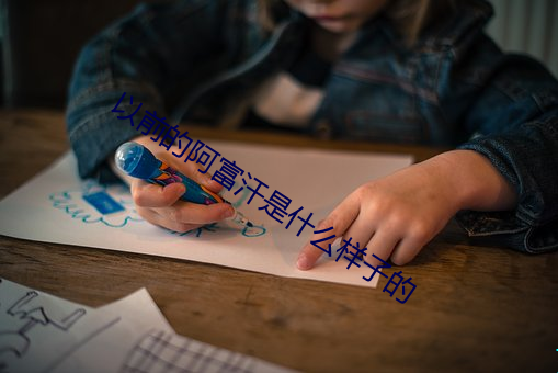 以前的阿富汗是什么样子的 （薏苡蒙谤）