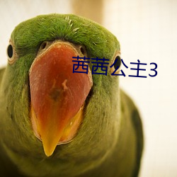 茜茜公主3