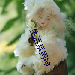 生活(huó)系男神