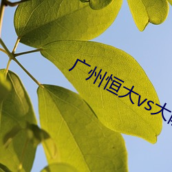 广州恒大vs大阪樱花 （基色）
