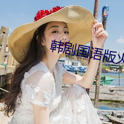 韩剧国语版火花40集(集)免费观