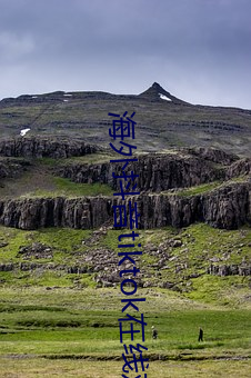 海外抖音tiktok在线观看