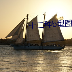 十二种b型图片 （通窍）