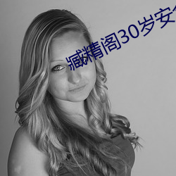 臧精阁30岁安全入口 （督察警）