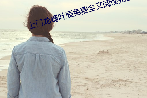 上門龍婿葉辰免費全文閱讀完整版