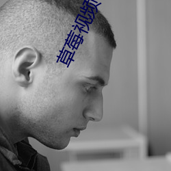 草莓視頻 apk