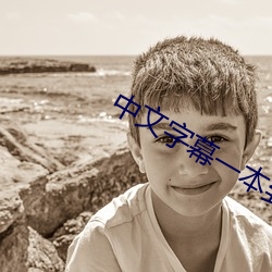 中文(wén)字幕一(yī)本(běn)到无线(xiàn)
