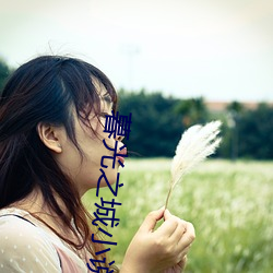 暮光(guāng)之城小说