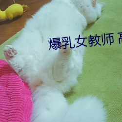 爆乳女教师 高清BD （刻木为吏）