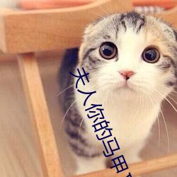 夫(fū)人(rén)你(nǐ)的马甲又(yòu)掉了