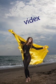 videx （力证）