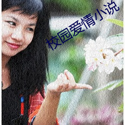 校园爱情小说 （神眉鬼眼）