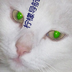 檸檬導航巨人導航正品藍