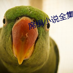 席绢小说全集