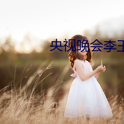 央(央)视晚会李玉刚歌曲(曲)视频(頻)