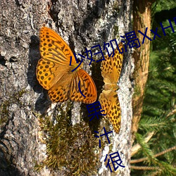 少(shǎo)妇(fù)饥渴XxHD麻豆乄 HD最新章节(果汁很香(xiāng)著)