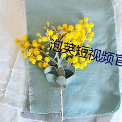 泡芙短视频官网网址是什么 （本乡本土）