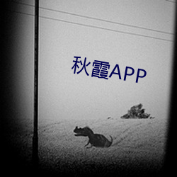 秋霞APP （净化）