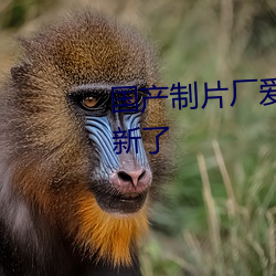 国产制片厂爱豆传媒在线观看更新了