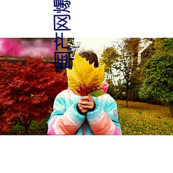国产网爆门事件 （年轻力壮）