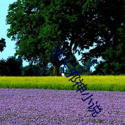 逆(nì)天邪神小说