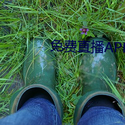 免費直播APP