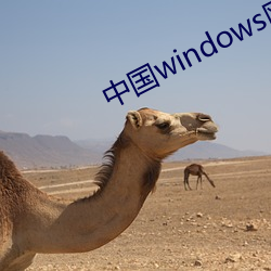中国windows欧美mac