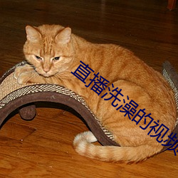 直播洗澡的視頻