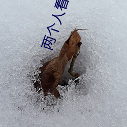 两(兩)个人看的www免费高(高)清直播
