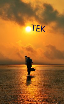 TEK