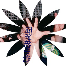 藍淋的小說