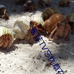 蜜(蜜)芽TV忘(忘)忧(憂)草(草)在(在)线(線)跳(跳)转(轉)接口