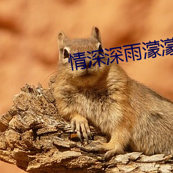 情(情)深深雨濛濛在(在)线(線)观看