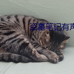 盗墓笔记有声(聲)小说
