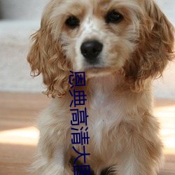 恩典高清大图