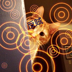 反賊