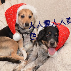 人人妻人人爽(shuǎng)人人(rén)做夜欢视(shì)频(pín)九色
