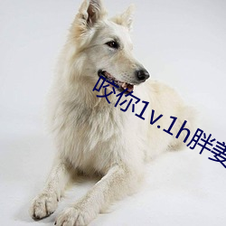 咬你1v.1h胖姜花 （神短气浮）