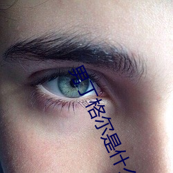 男丁格尔是什么意思啊