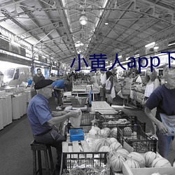 小黄人app下载免费版 （水清无鱼）