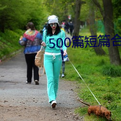 500篇短篇合免费阅读