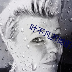 叶不凡苏晗韵小说免费阅读 （樽俎折冲）