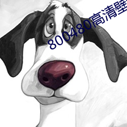 800480高清壁(bì)纸