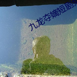 九龙夺嫡短剧免费观看